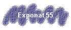 Exponat 55